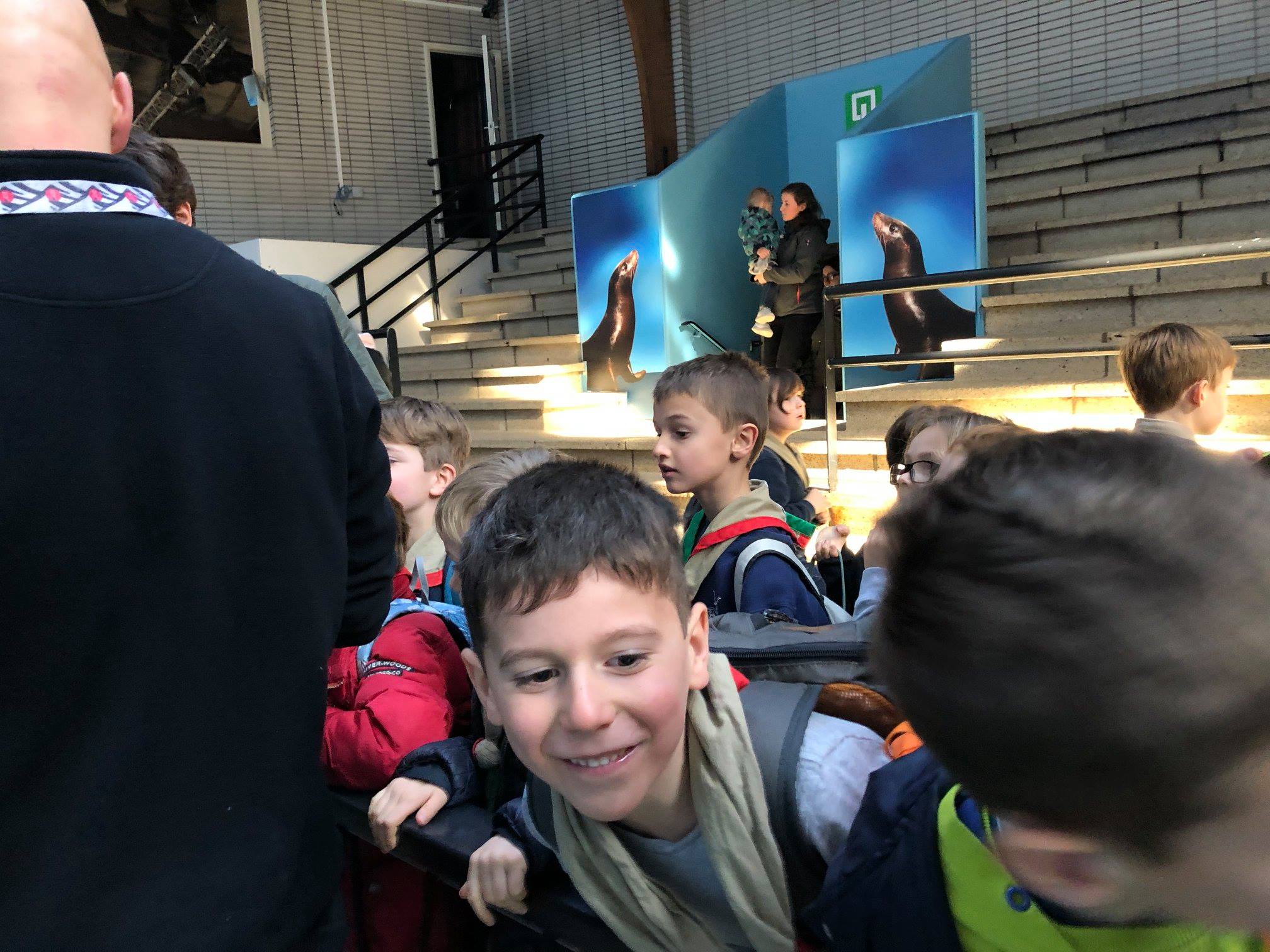 Sint-Martinus den XIIde - Zoo Antwerpen Kapoenen